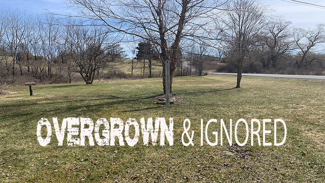 Our OVERGROWN & IGNORED 2.5 acre property. PREVIEW