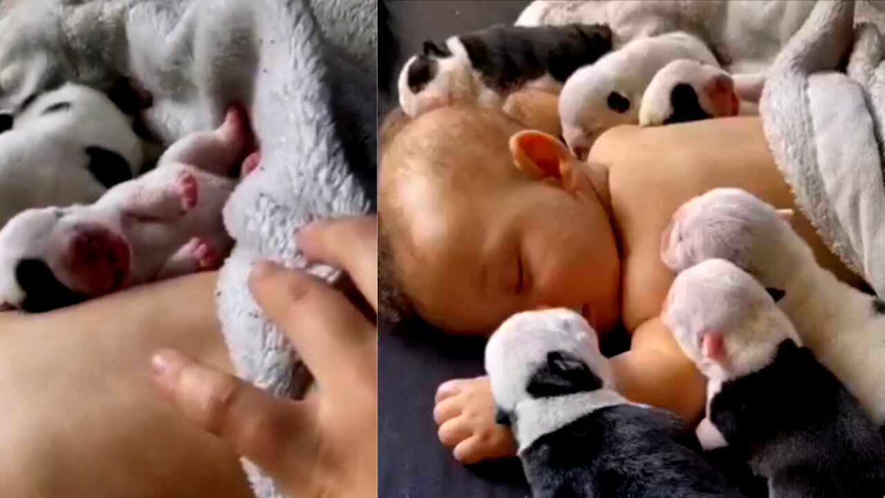 So cute baby sleep with puppies 🌺😊