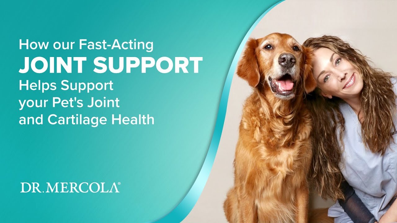 How our Fast-Acting JOINT SUPPORT Helps Support your Pet's Joint and Cartilage Health