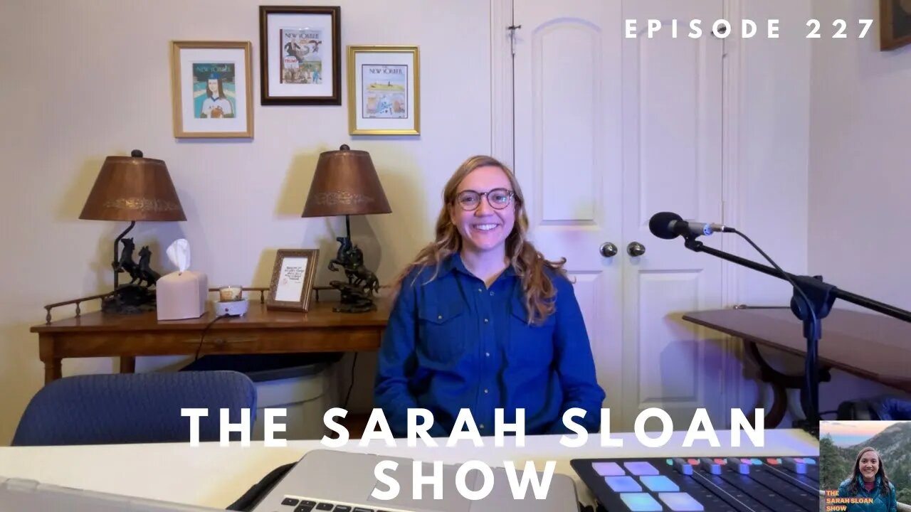 Sarah Sloan Show - 227. Donald Trump's 34 Count Indictment