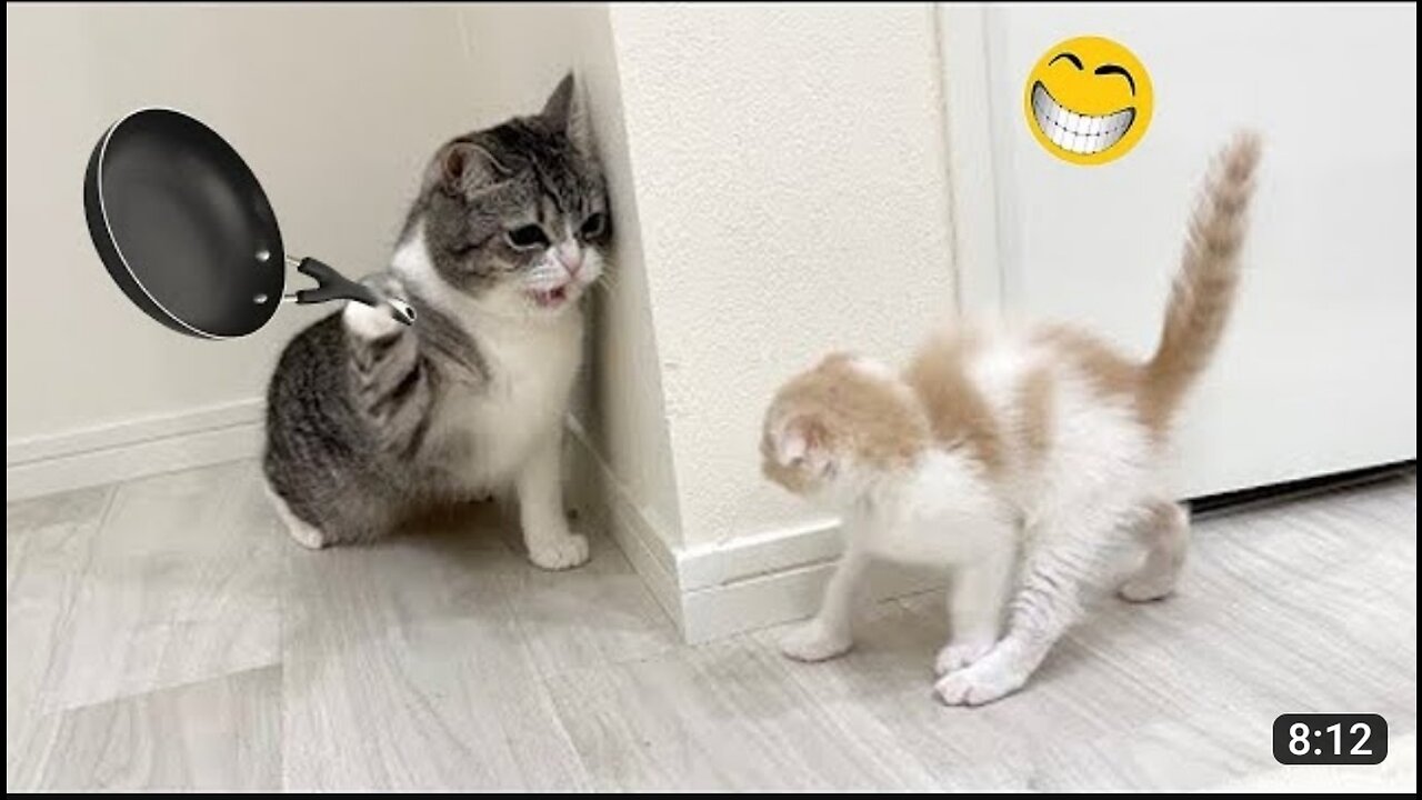 Funny animal Videos 2023🥰. funniest cats and dogs videos😁