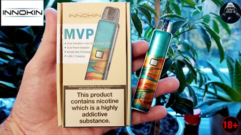 INNOKIN MVP POD KIT REVIEW / BACK TO BASICS 🔞 #innokin #innokinmvppodkit #podkitreview #vapeworld