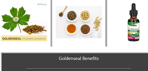 Goldenseal Benefits