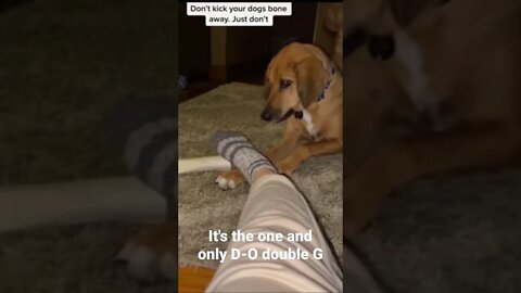 It's the one and only D-O double G #shorts