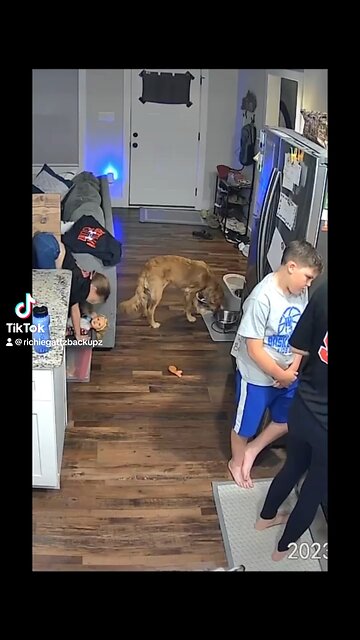 Bro that “safe” was so under appreciated