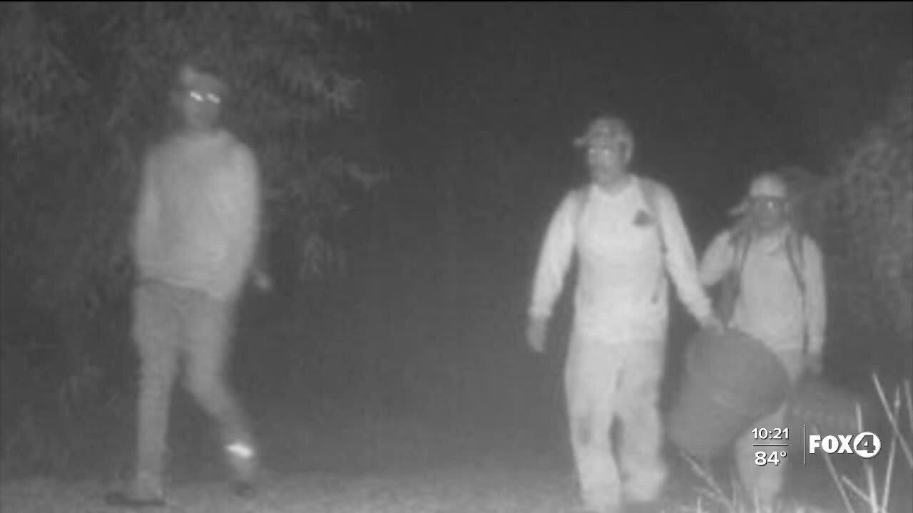 Woman's security camera catches men illegally picking palmetto berries on her property