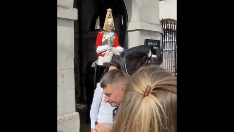 The Queen's Guard yanks the Reins out of her her hands