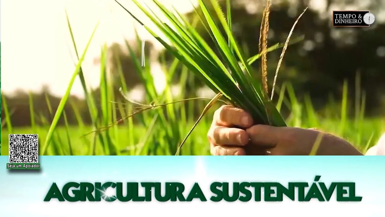 Agricultura Sustentável - com Frederico Olivi