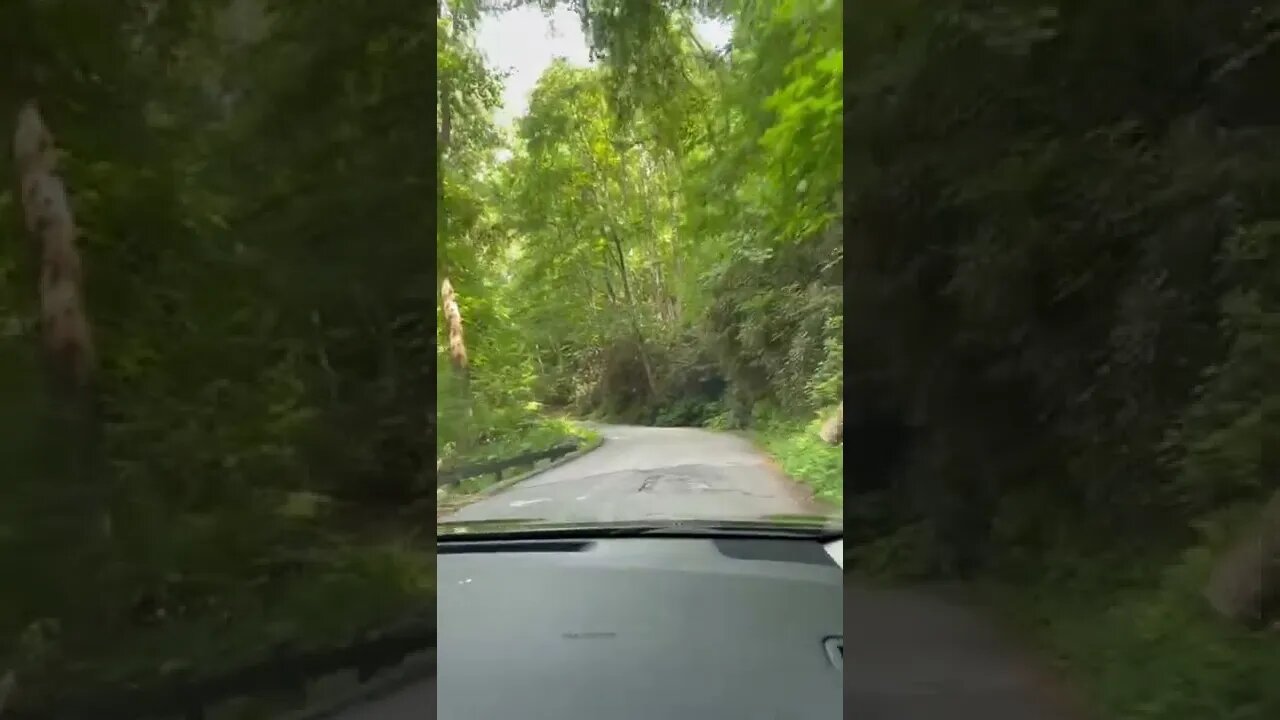 Enjoy the travel