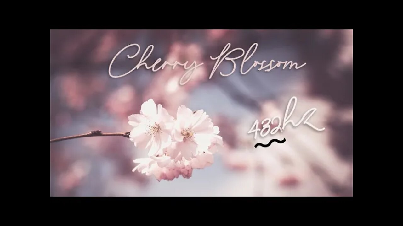 🌸Cherry Blossom🌸| 432hz | Beautiful Nature | Meditation | Natural Healing Music | Spring ⛅️