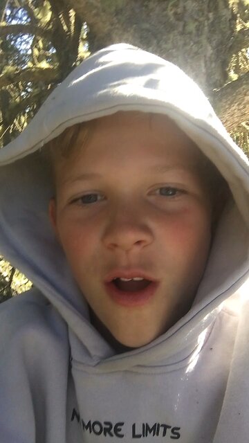 I'm so high in a tree