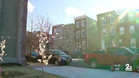 Baltimore man plants trees at scene of South Stricker Street fire to honor firefighters killed