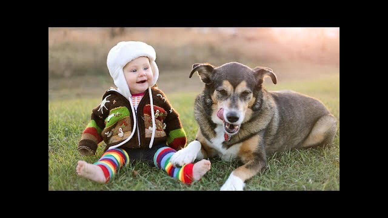 Funny Babies Laughing Hysterically at Dogs Compilation