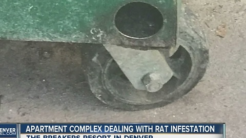 State investigating rat infestation response