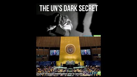 RAPING and CHILD ABUSE ⚡ Former investigator uncovers dark UN secret