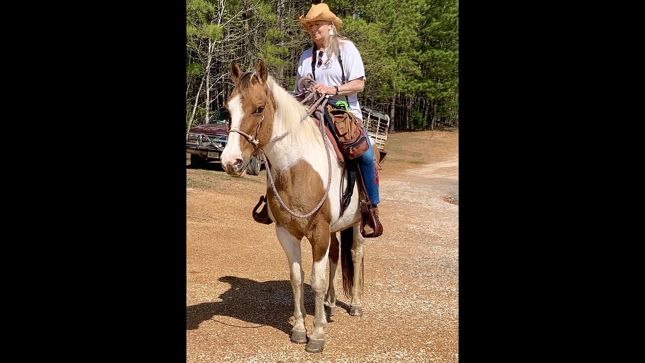 Springtime : It’s the time to hit the saddles. Come on y’all , let’s saddle up and go for a ride.🤠