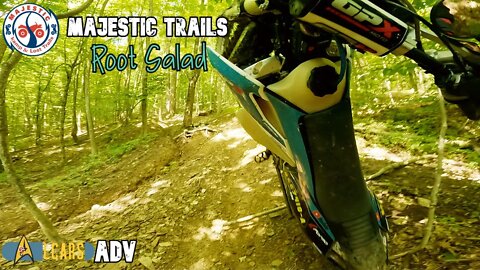 Majestic Trails - Root Salad (TSE250r)