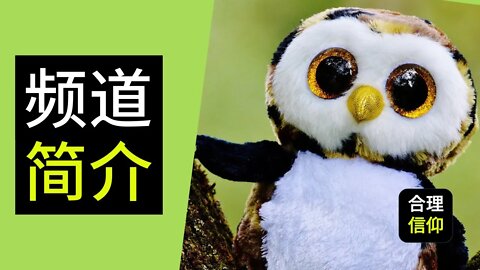 大鸟合理的信仰 频道简介 | 信仰问题解答 | 读经分享 | 基督教信仰