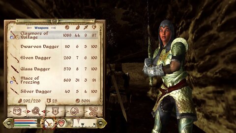 The Elder Scrolls IV Oblivion PC 2022 06 07 21 46 13