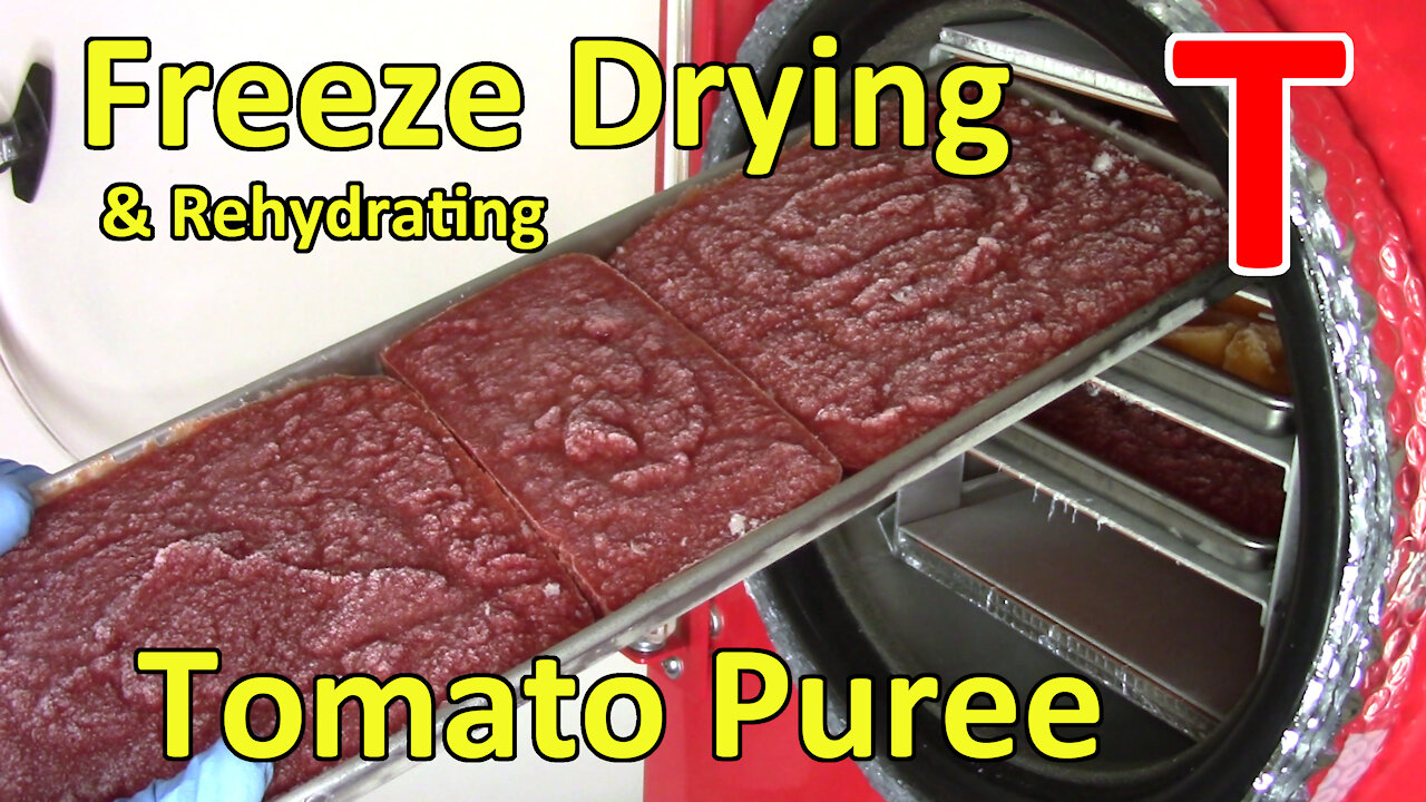 Freeze Drying & Rehydrating Tomato Puree