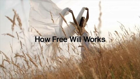 Chris Langan - How Free Will Works - CTMU