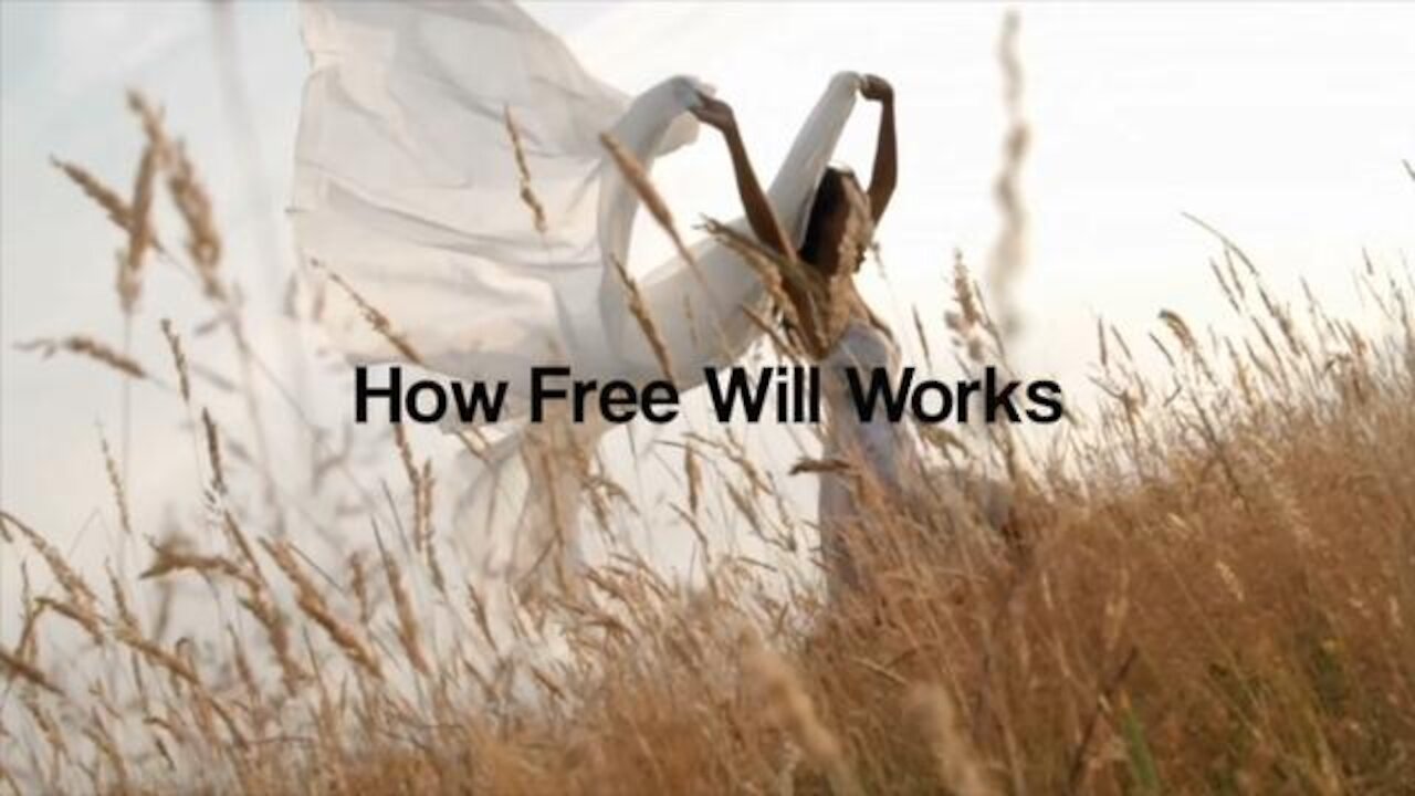 Chris Langan - How Free Will Works - CTMU