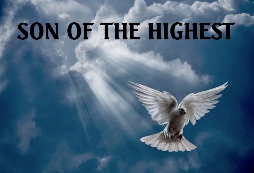 SON OF THE HIGHEST #556