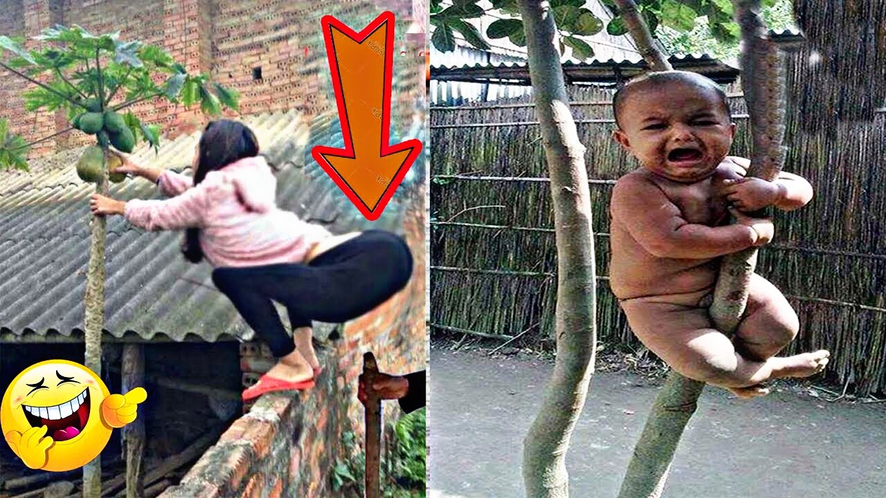 Funny video compilation|| Viral collection video | fail compilation video||