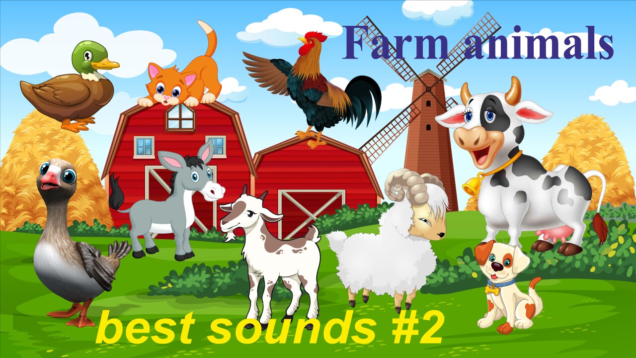 Sounds of animals, farm animal sounds : donkeys, geese, ducks, pigs, dogs, cats, cows #2