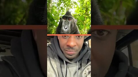 O FINAL NEM ELE ESPERAVA #shorts