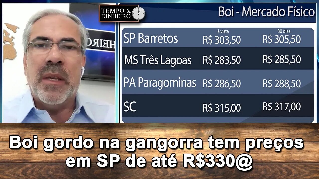 Boi gordo na gangorra tem preços em SP de até R$330@