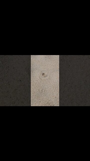 Guess what this is😲??