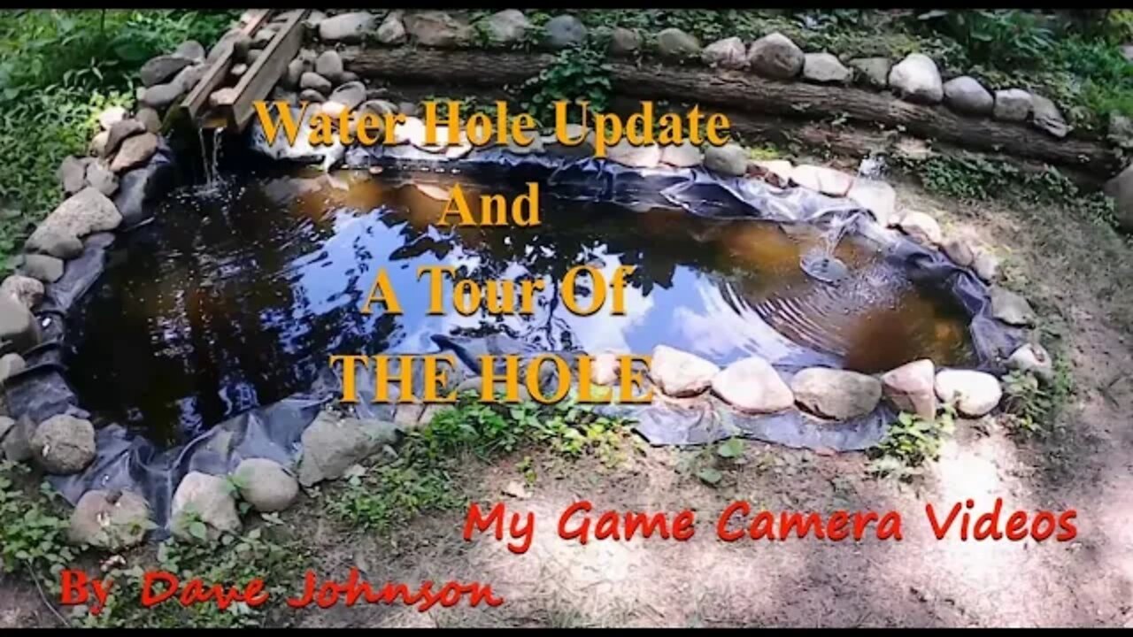 A Water Hole update and a quick tour of the Hole