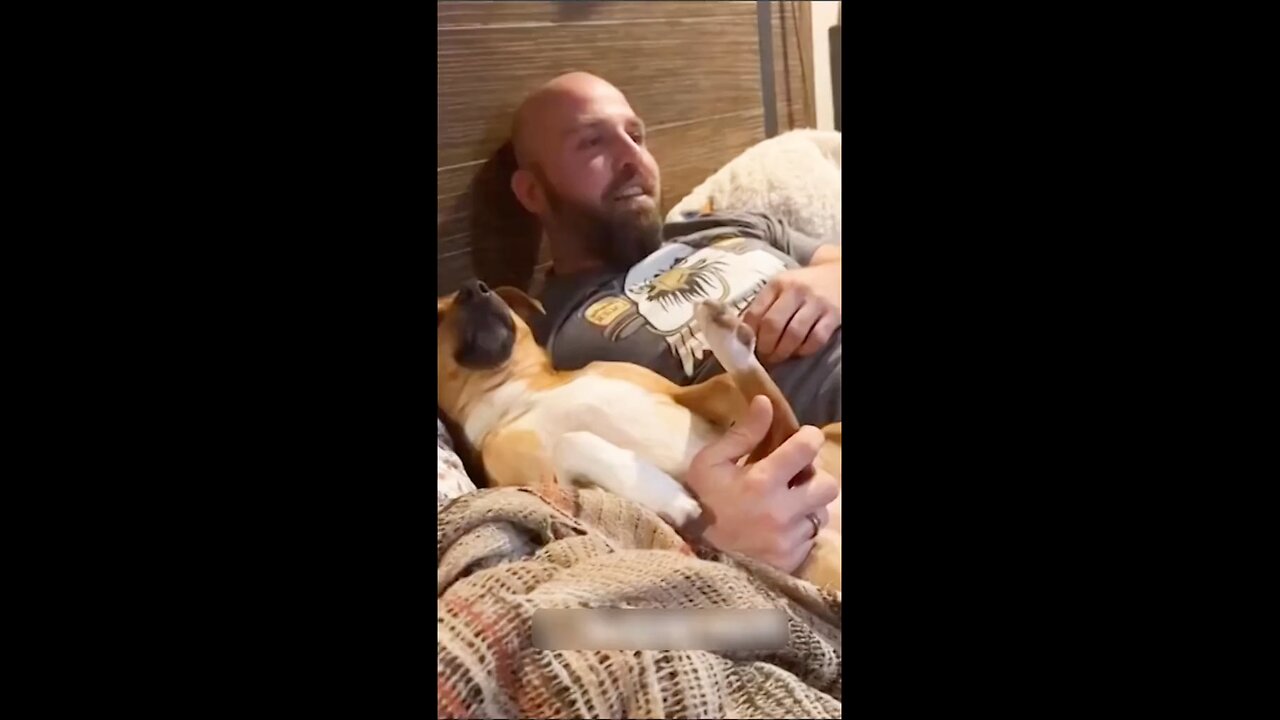 funny animal video 😂😂
