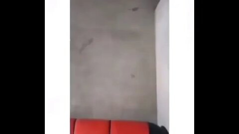 QUE FOI PAI PENSA EM UMA LAPADA ( MEME ) ( VIRAL ) #shorts