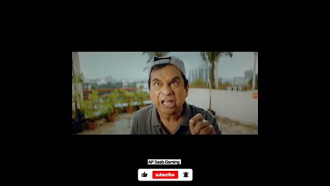 funniest Animal comedy scene