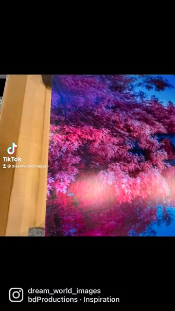 Pink Arches on brushed aluminum