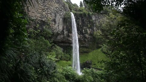 Tranquil and mesmerizing Amazon waterfall