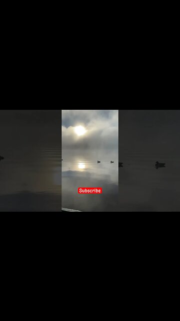 Fog So Think It’s Betty Crockett ￼