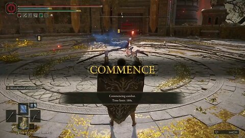 Invisibonking Saerl (Elden Ring Duels)