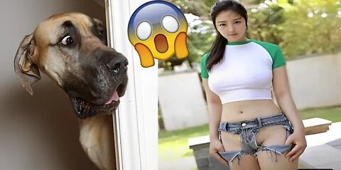 Funniest Animals Video - Funny Dogs And Cats - Try Not To Laugh Animals 2023