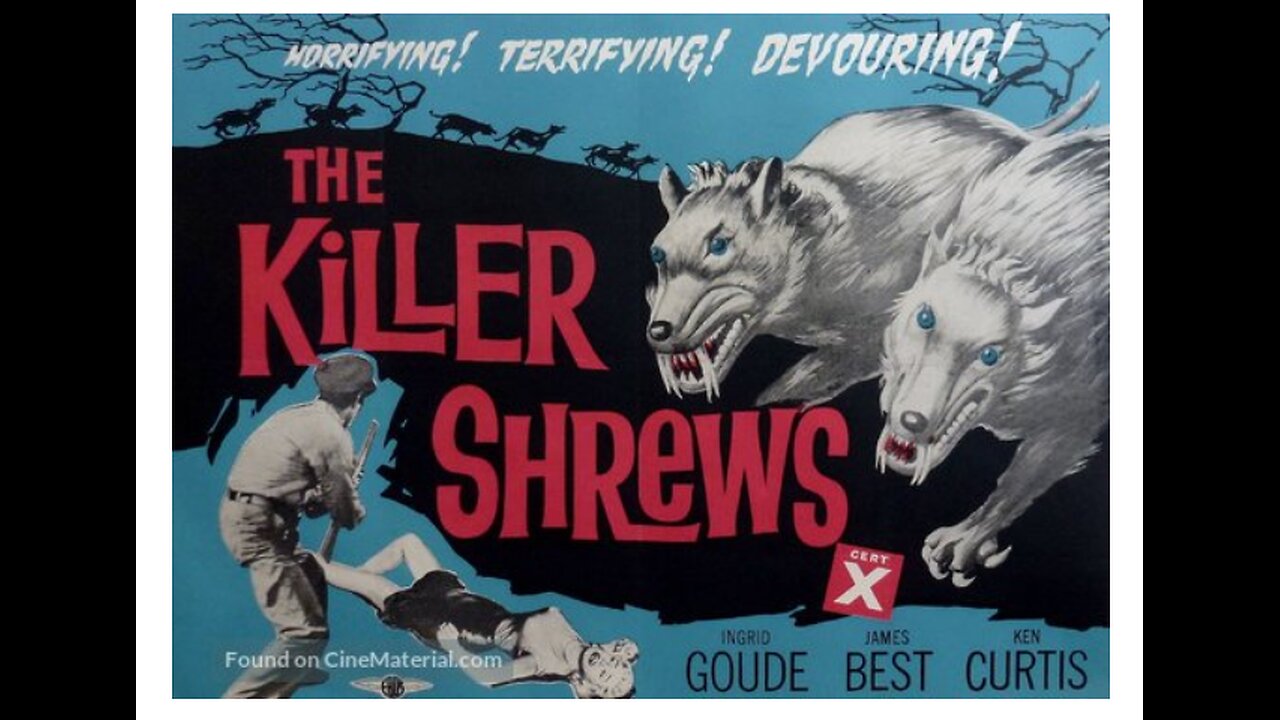 Project Terror The Killer Shrews