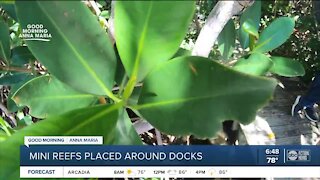 Students working with MOTE biologists and The Center for Anna Maria Island to keep water clean