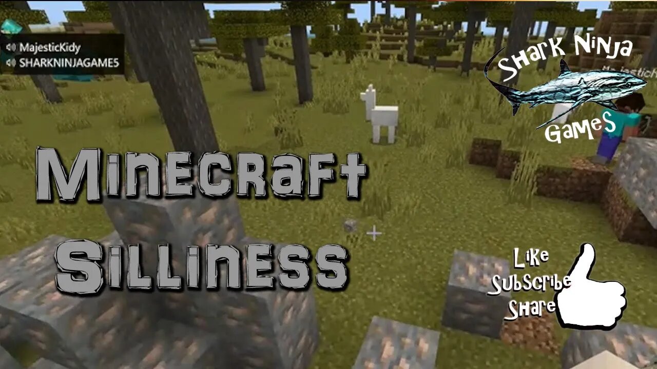 Minecraft Silliness