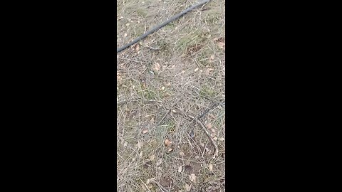 Bio Char burn removing large pieces