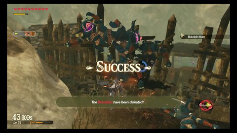 Hyrule Warriors: Age of Calamity - Challenge #15: Hair-Width Trial: Beginner (Very Hard)