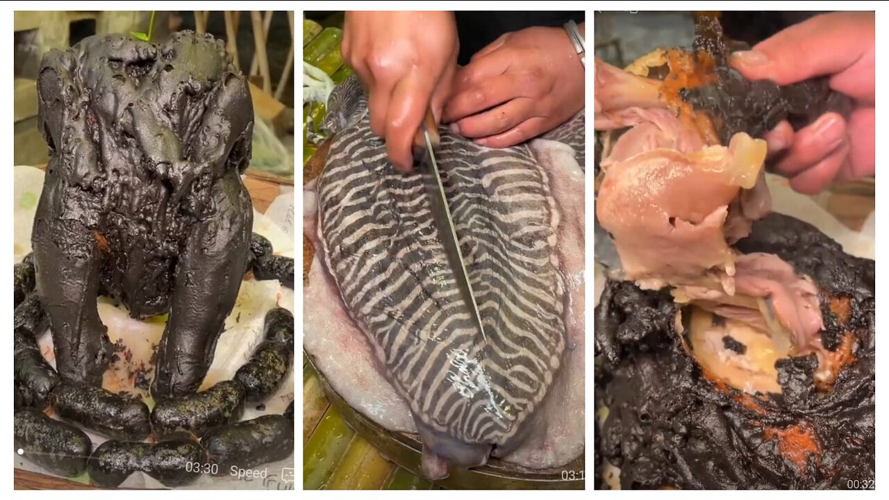 This seafood you have never ate! and this Chicken?