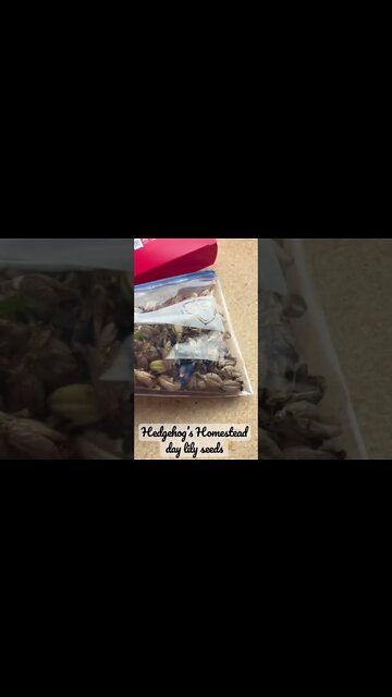 Find Your Own Free Seed