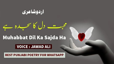 Muhabbat Dil Ka Soda Ha - Urdu Poetry Whatsapp Status - Sad Shero Shayari - Jawad Ali Official