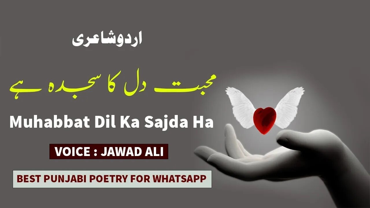 Muhabbat Dil Ka Soda Ha - Urdu Poetry Whatsapp Status - Sad Shero Shayari - Jawad Ali Official